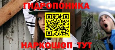 мяу мяу мука Тула