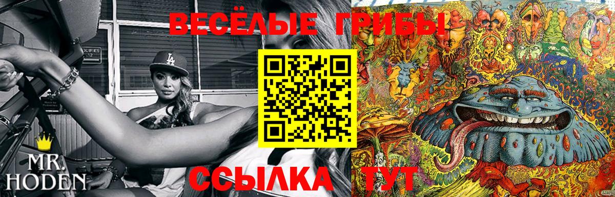 Ханты-Мансийск  Псилоцибиновые грибы мухоморы  купить  сайты  Вход с VPN 